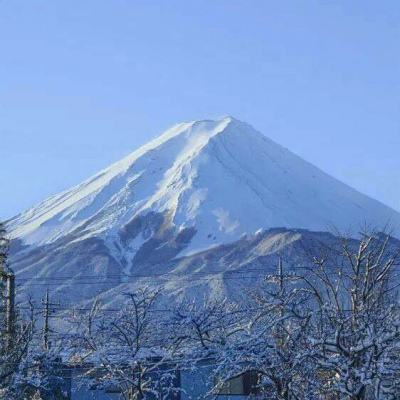 异界深渊大灵王手游下载